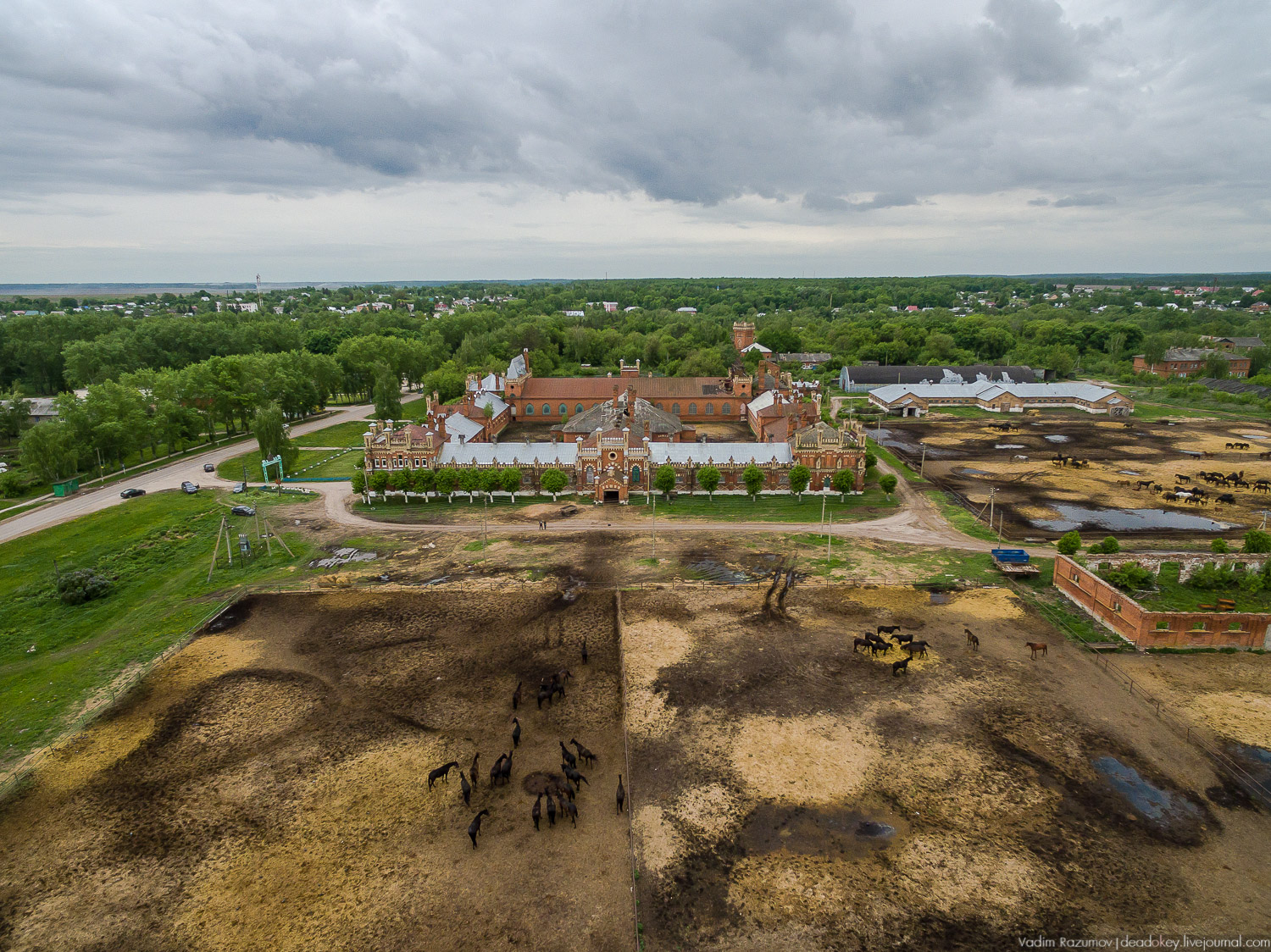 усадьба Старожилово, конезавод
