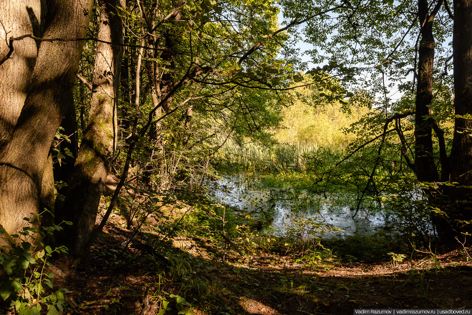Усадьба Заболотье, парк, курганы, Долгопрудный, Москва