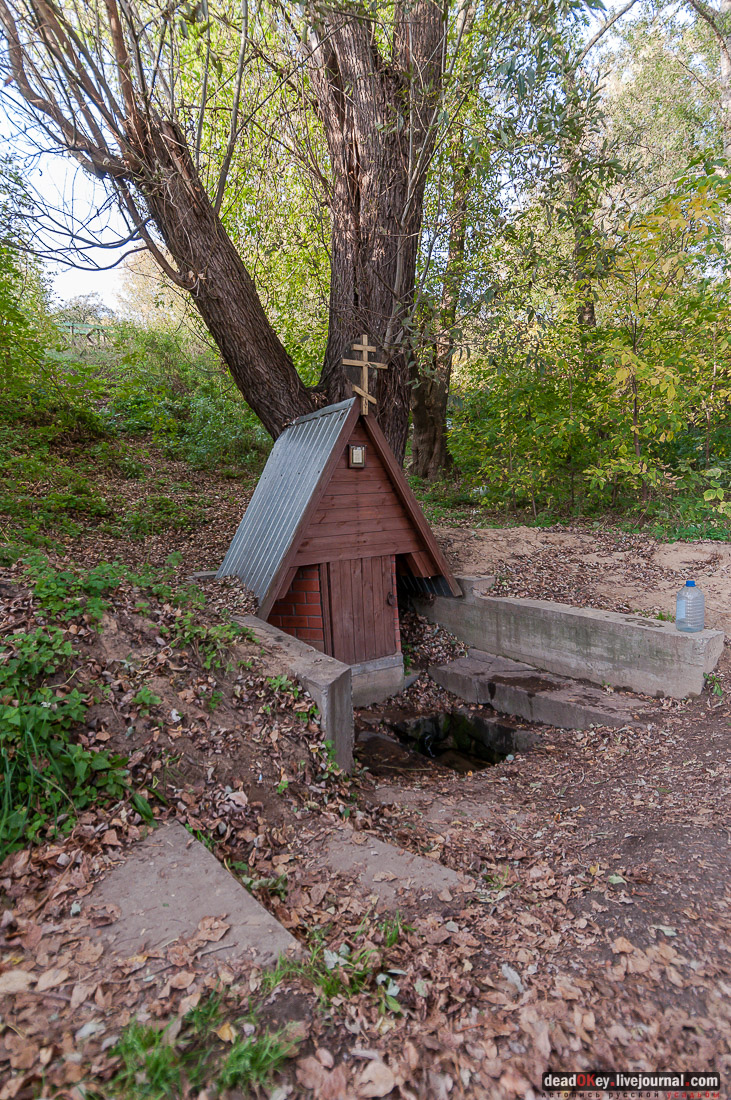 Усадьба Быково. Швейцарская ферма