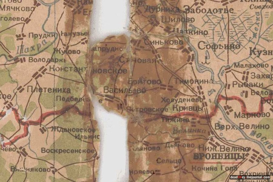 усадьба Кривцы