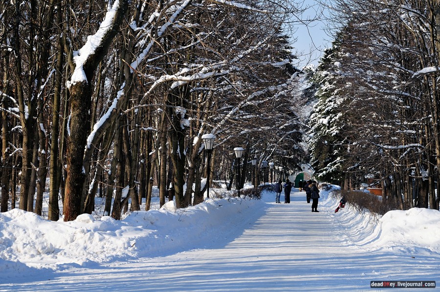 усадьба Лукино