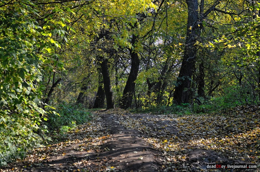 усадьба Красково