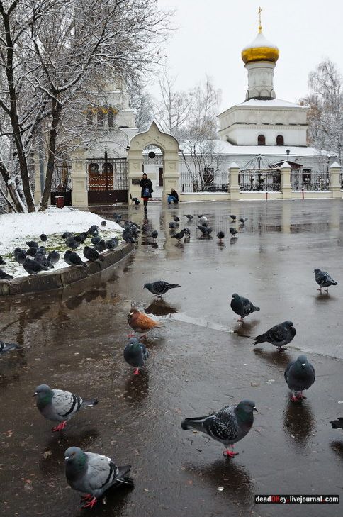 Черкизово