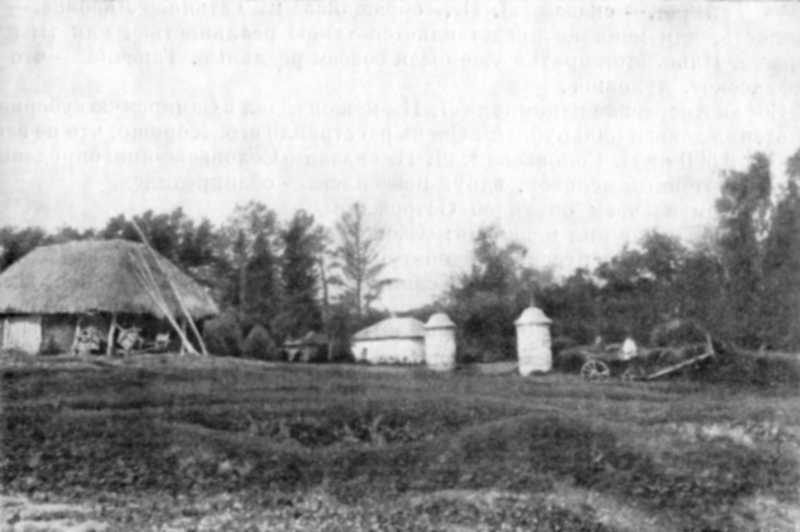 усадьба Ясная Поляна