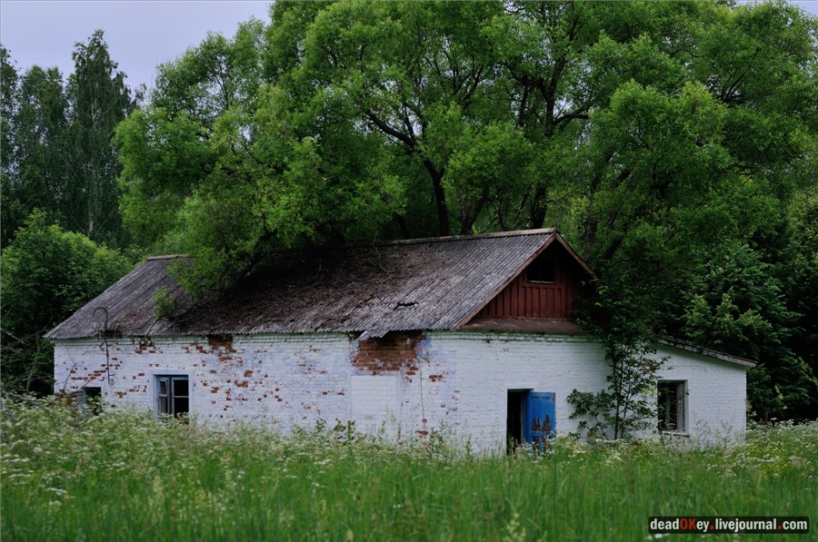 усадьба Паньково