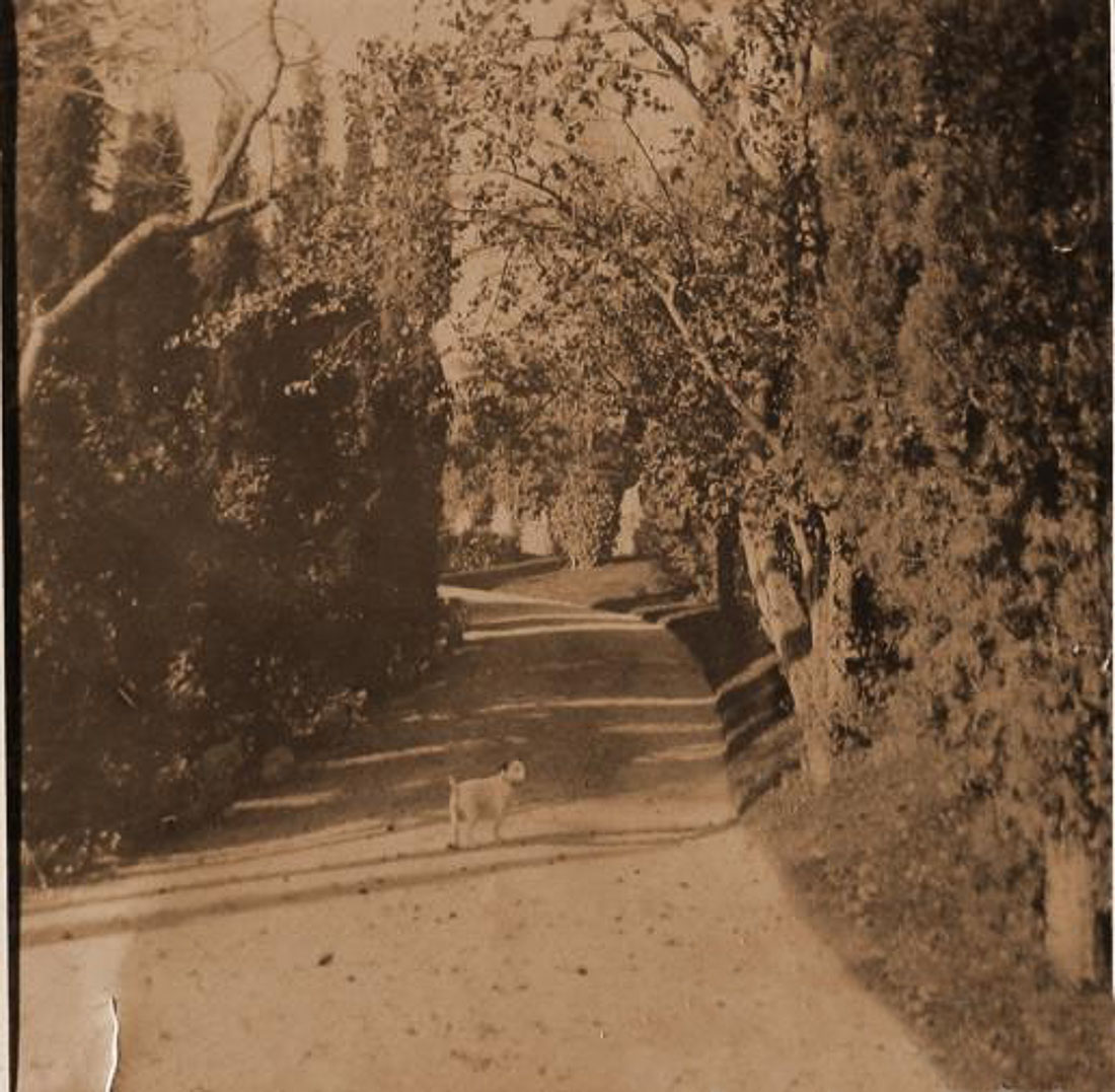 Юсуповский дворец в Кореизе, Крым