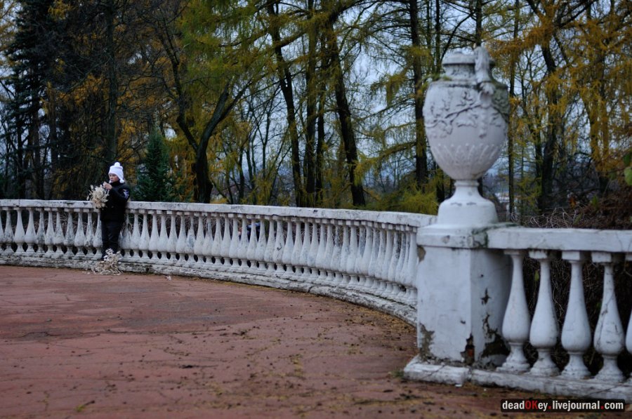 усадьба Горки Ленинские