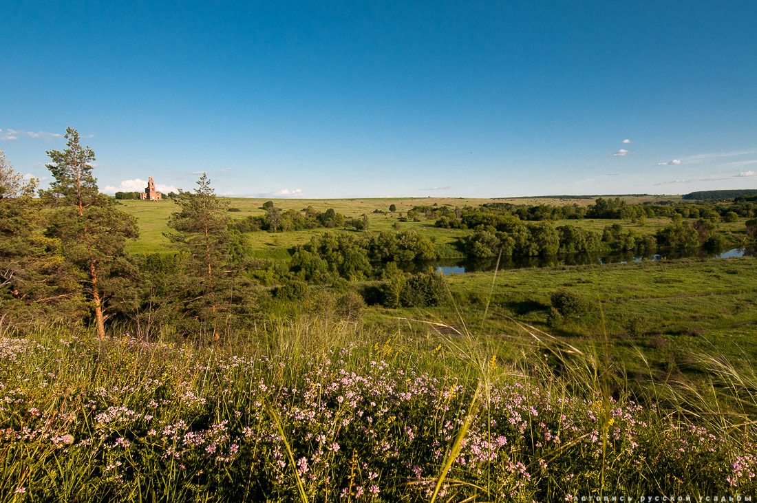 Инвестблогтур в Липецкую область. Летопись русской усадьбы
