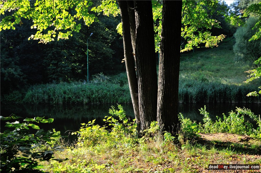 усадьба Райки