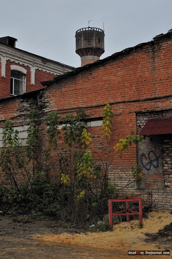 усадьба Богородской (пос. Володарского)