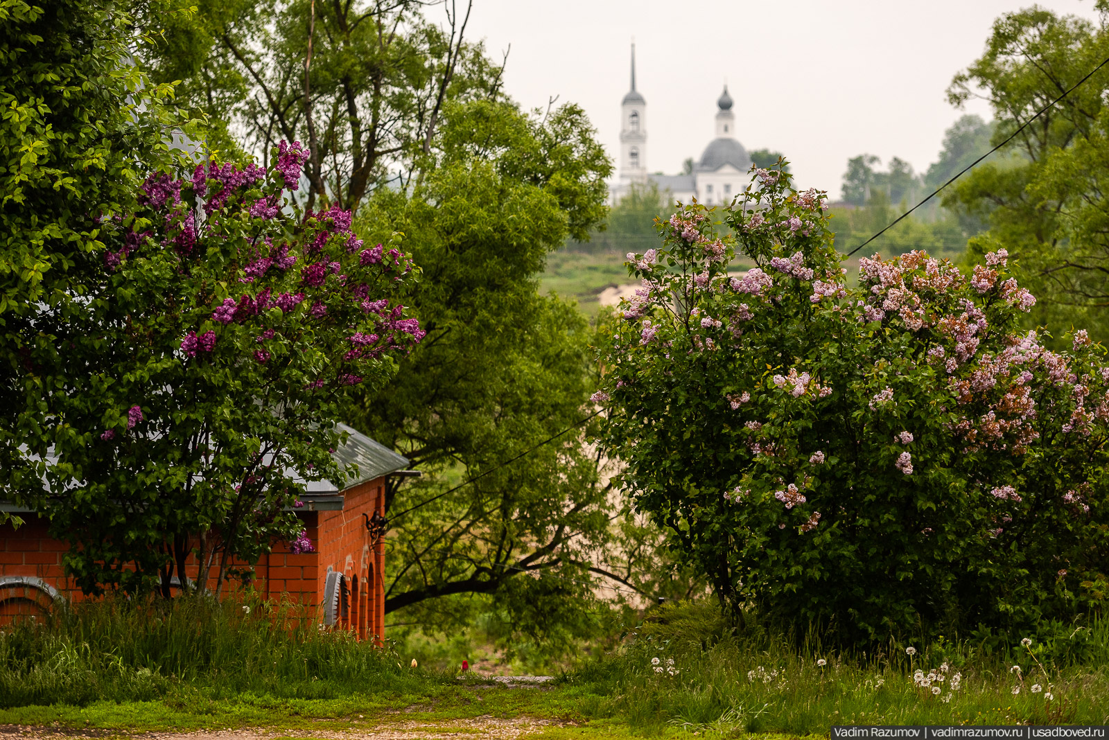 Архангельские Борки, Липецкая область, Липецкий район. Церковь Дмитрия Солунского