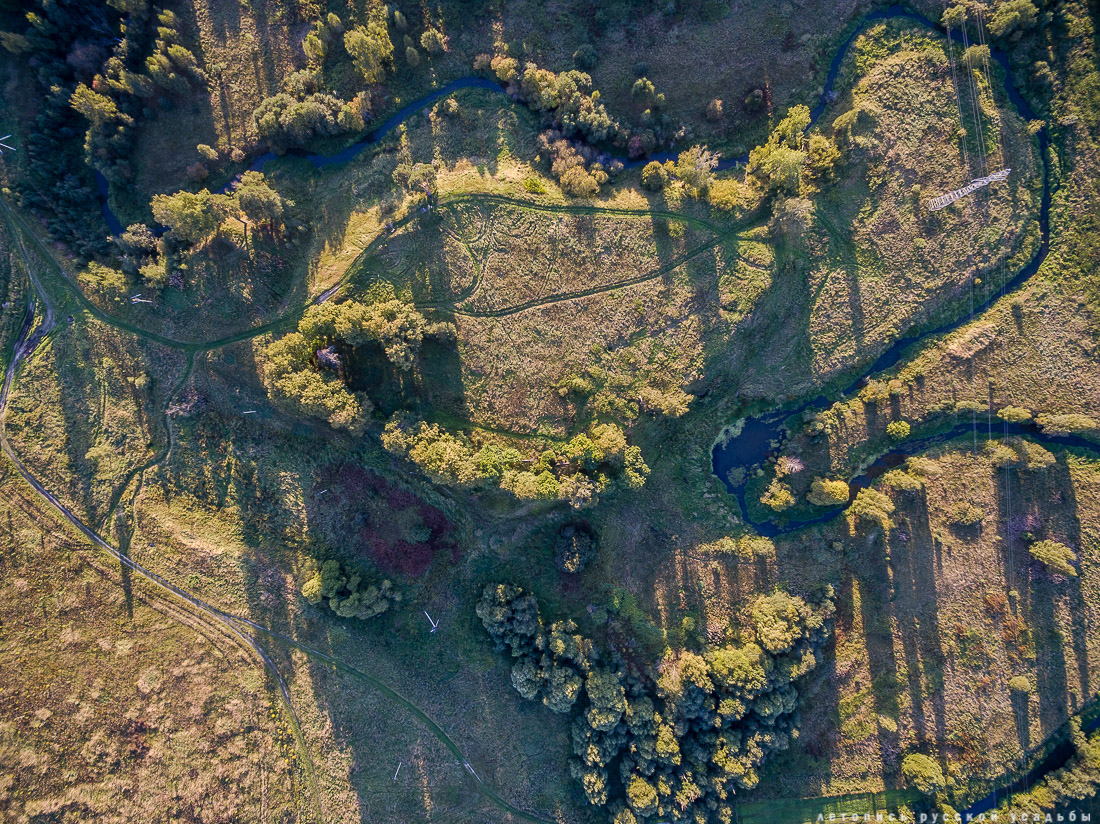 Могутовское городище, Шерна-городок, Могутово, фото с квадрокоптера