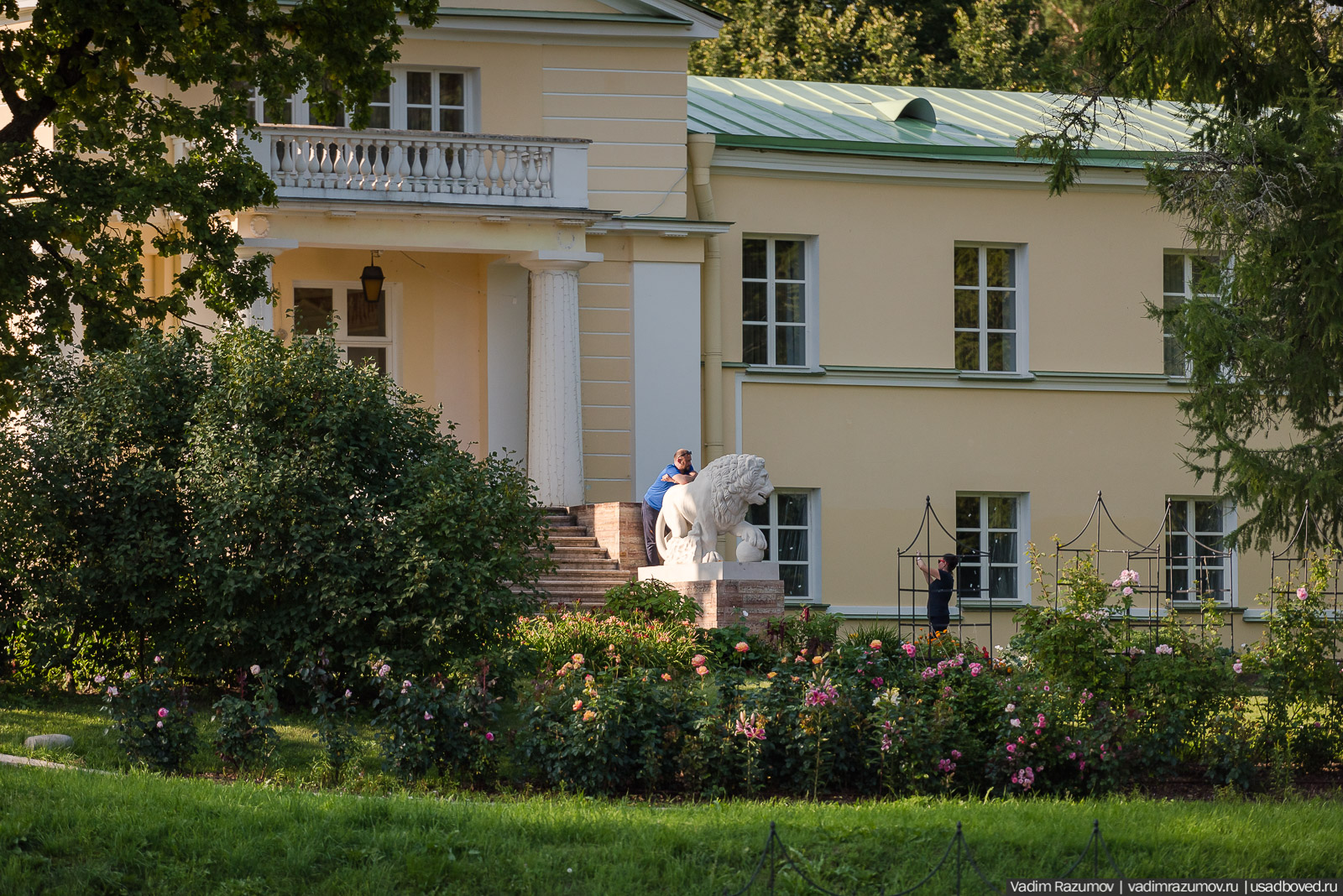 усадьба Марьино Строгановых, розарий, розы, сад