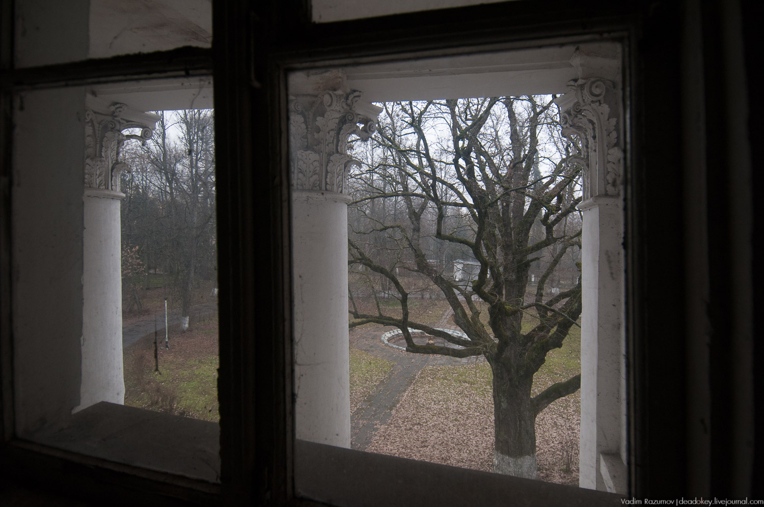 Интерьеры усадьбы Петрово-Дальнее, Дурнево