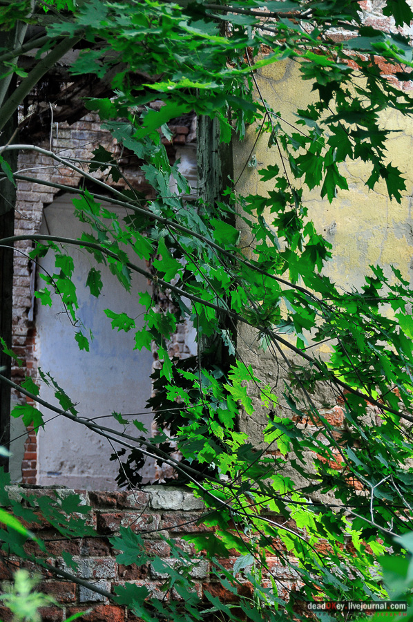 усадьба Матыра