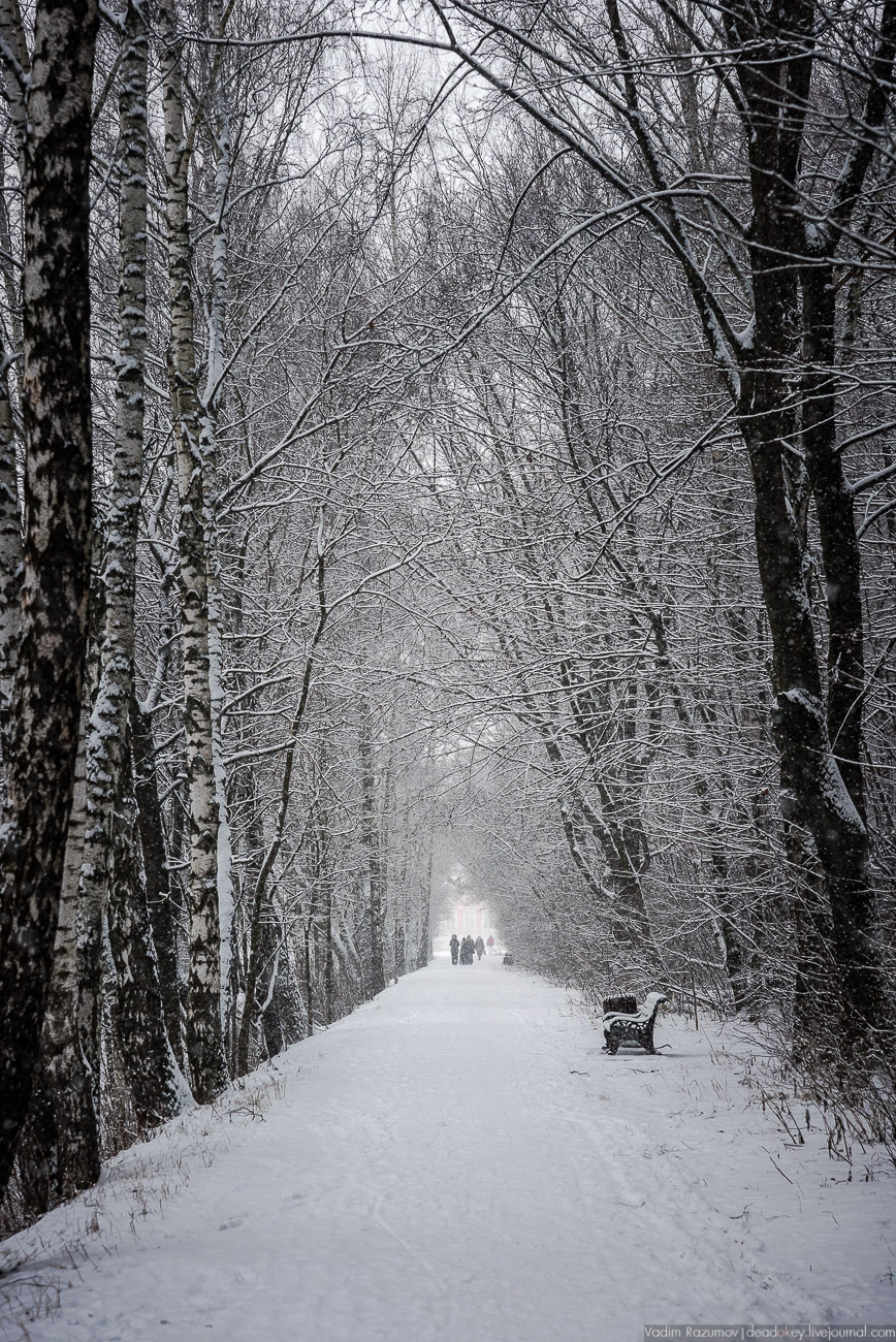 Усадьба Кусково зимой, 2018 год