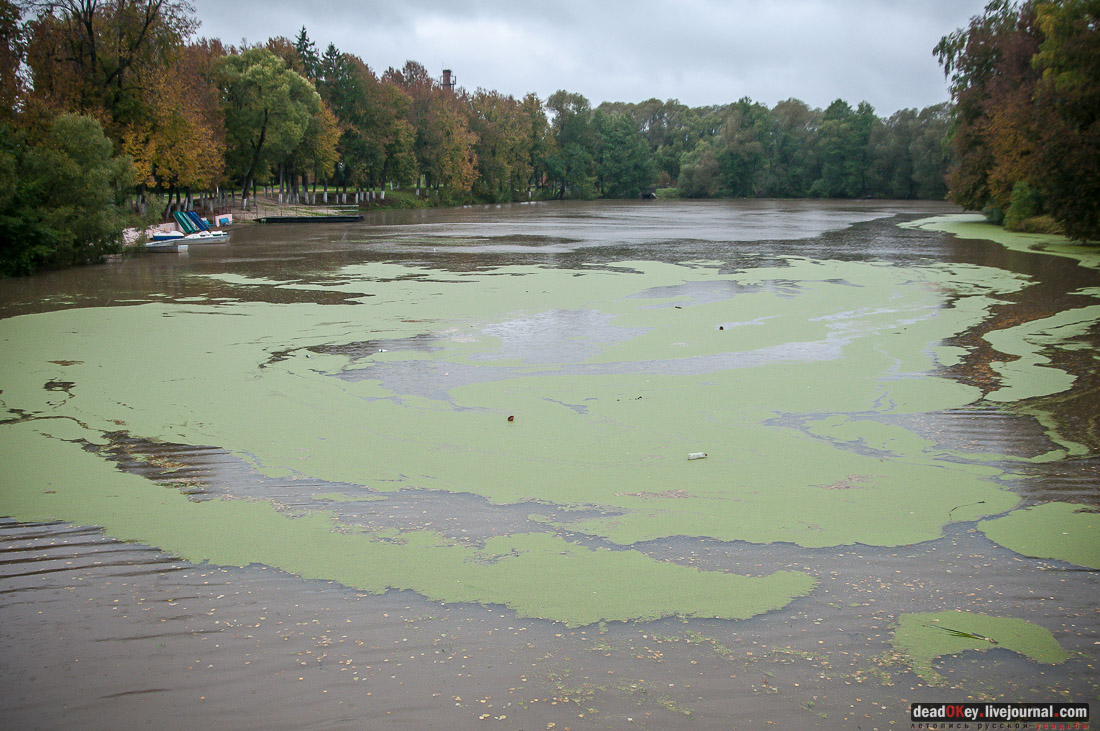 усадьба Сонино