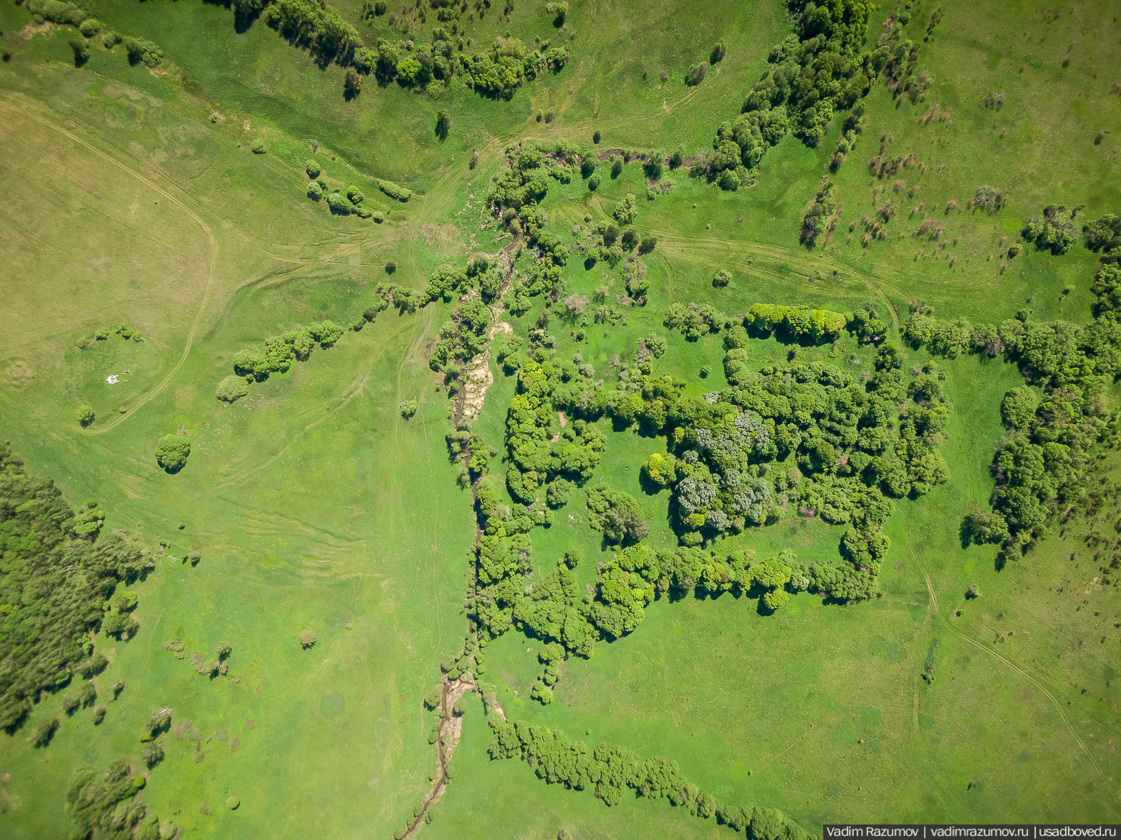 Старое Глазово, могила Василия Баженова, 2021 год