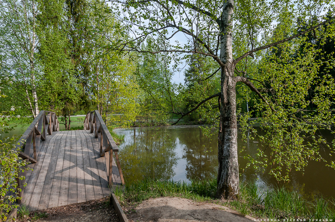 Усадебный экспресс. Абрамцево.