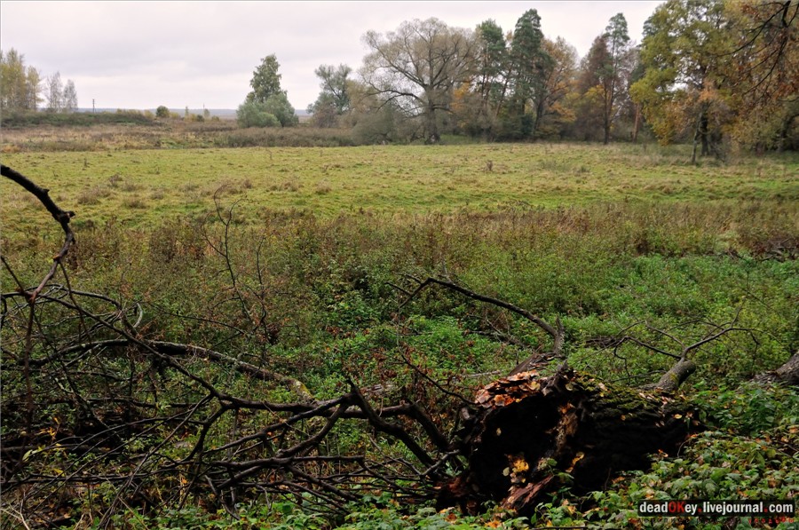 усадьба Федоровское