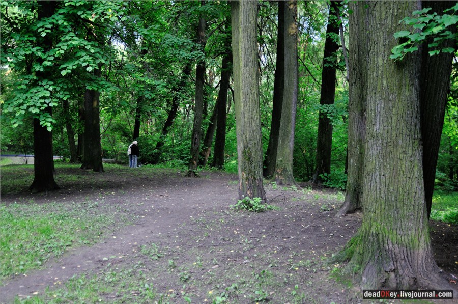 усадьба Грачевка (Ховрино)