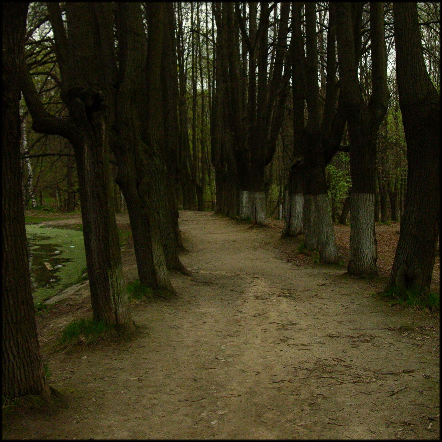 Парковые аллеи в русских усадьбах