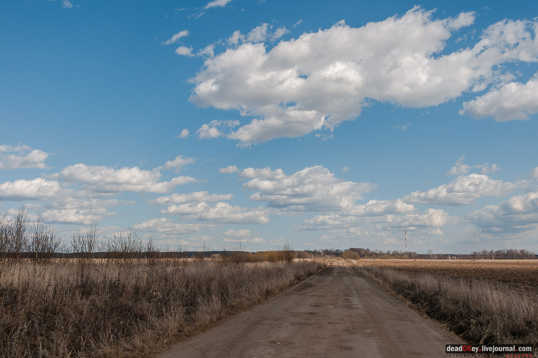 усадьба Васино