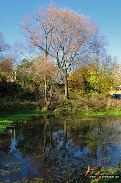 усадьба Беседы