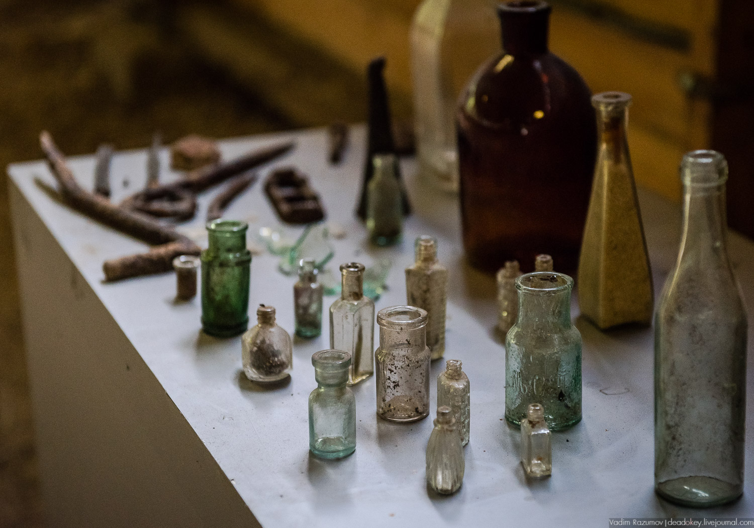 Алексеевская роща, путевой дворец Алексея Михайловича, Лосиный остров, музей охоты