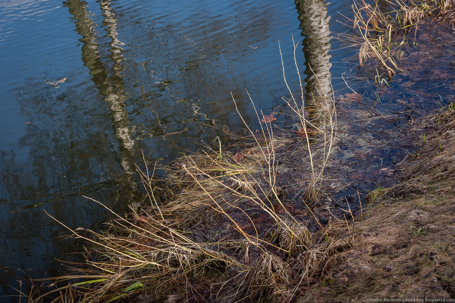 усадьба Домотканово, весна 2018 год