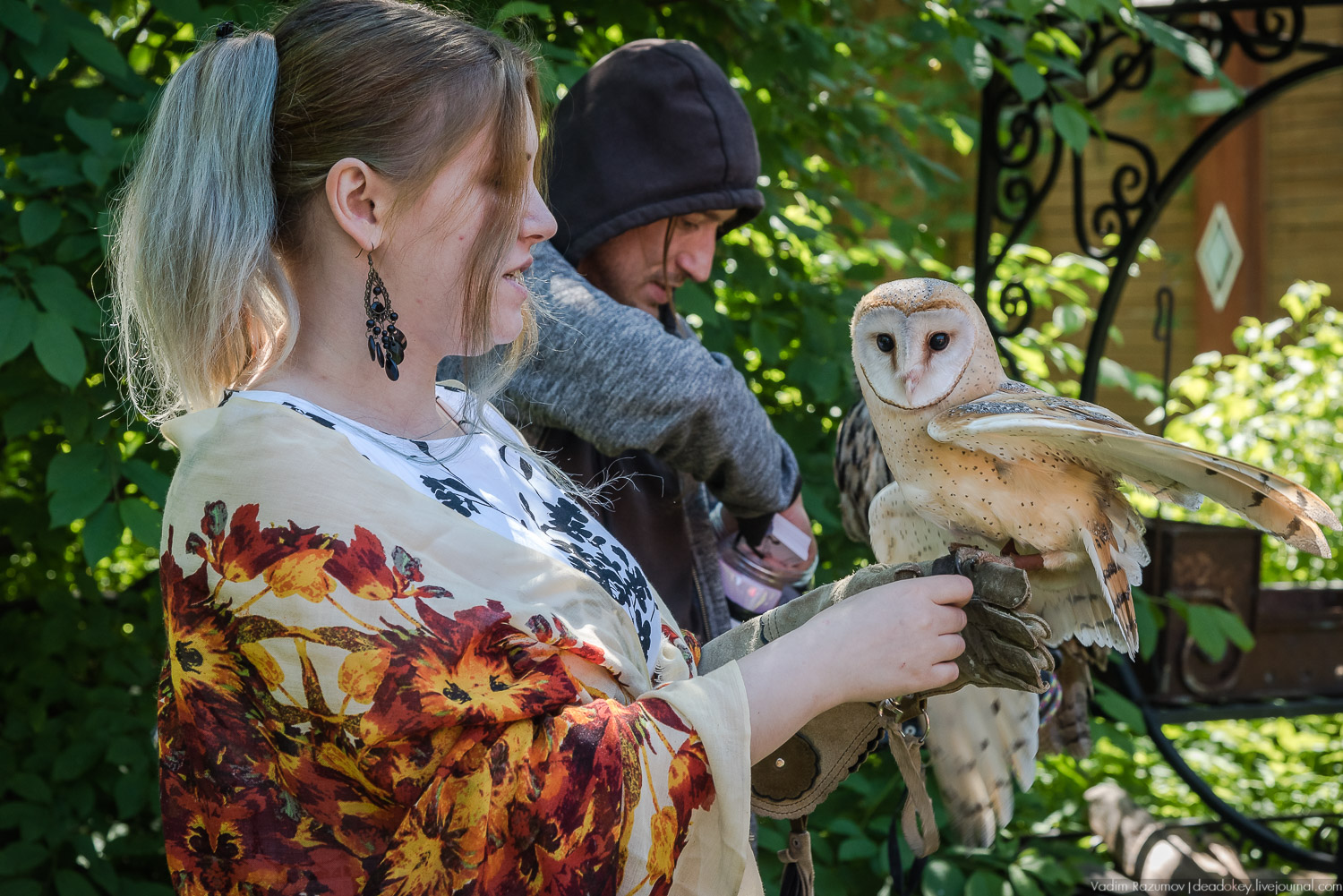 Экоэлектричка. Совиный фестиваль