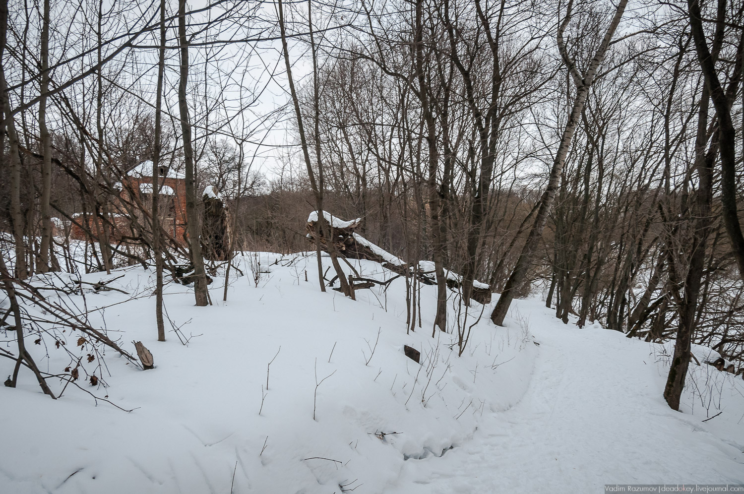 Богородицк, заброшенное здание бани