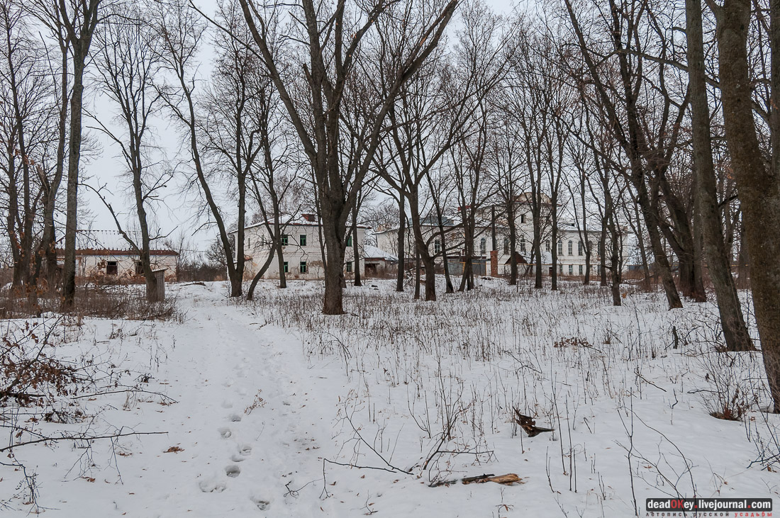 усадьба Репец