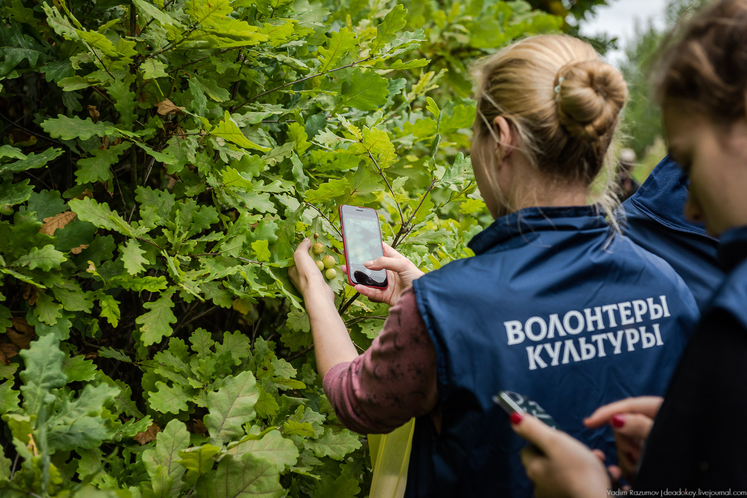 усадьба Никольское-Обольяниново, Усадебные волонтеры, субботник 17 августа 2019 года