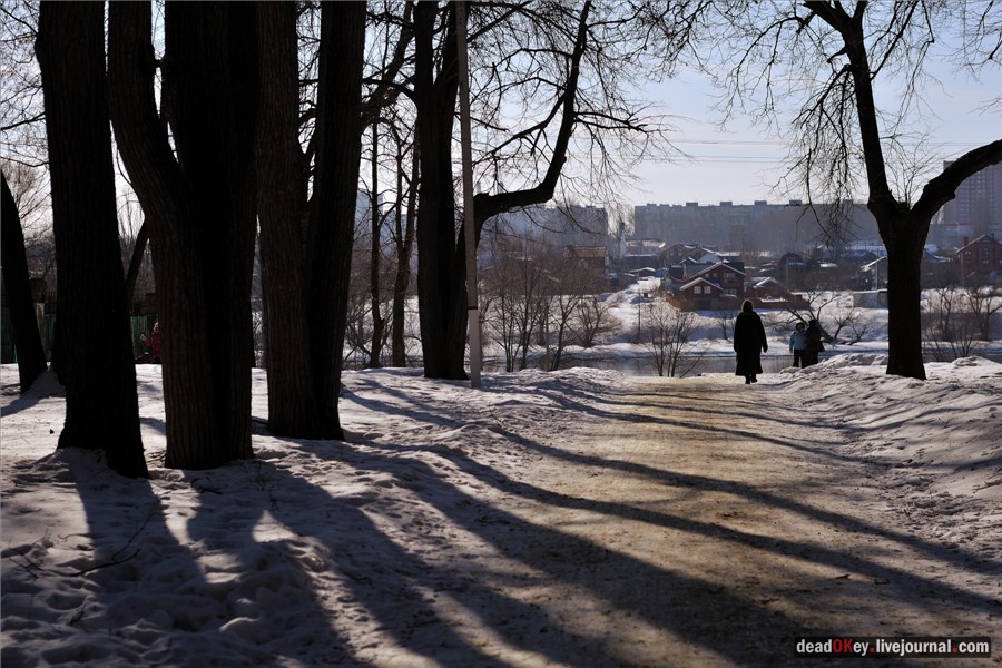 Бабушки в русских усадьбах