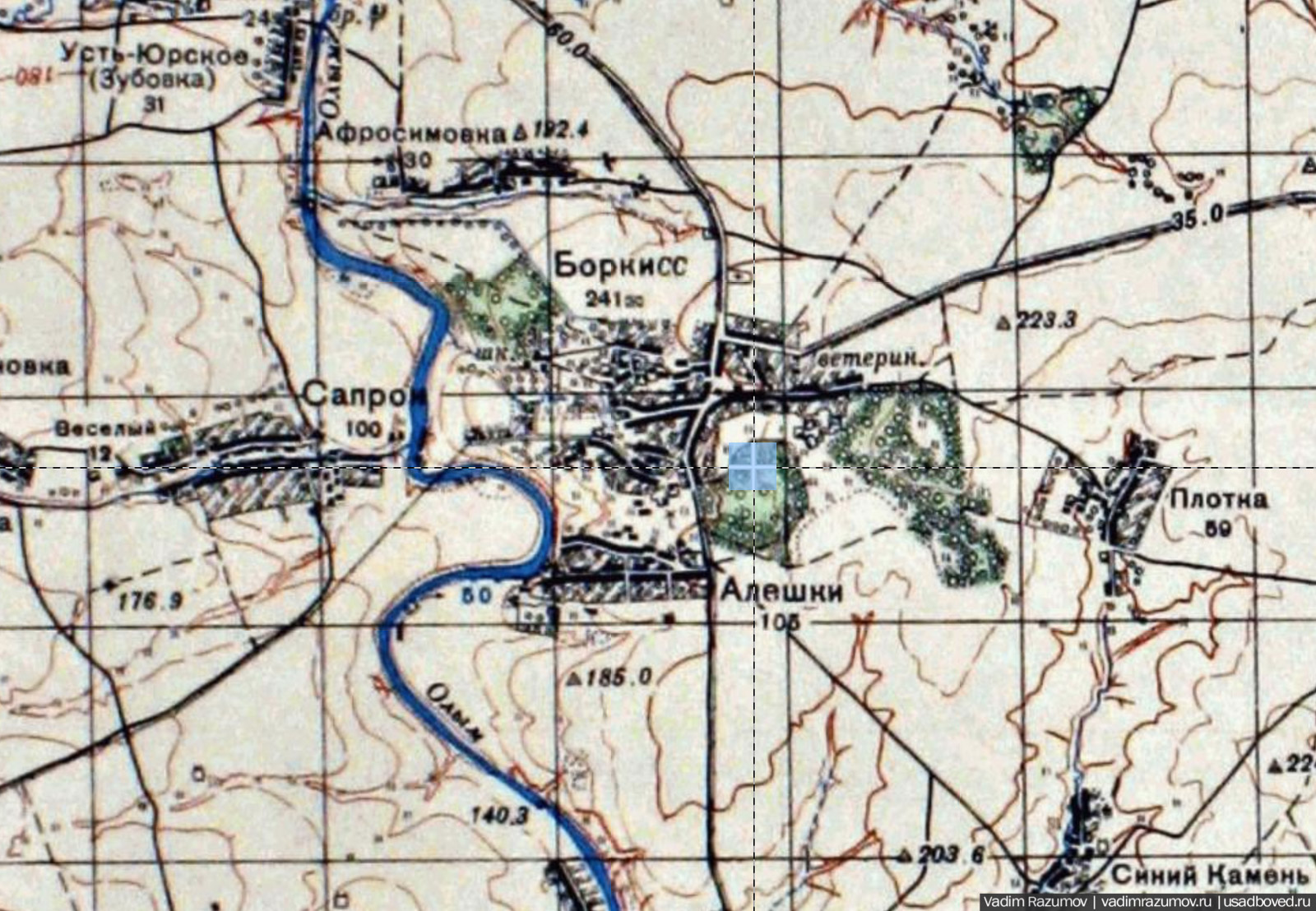 усадьба Борки, Липецкая область