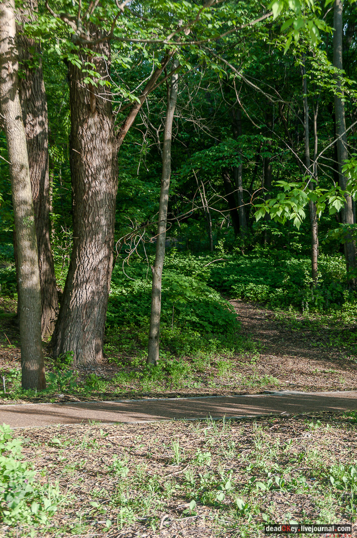 усадьба Кунцево