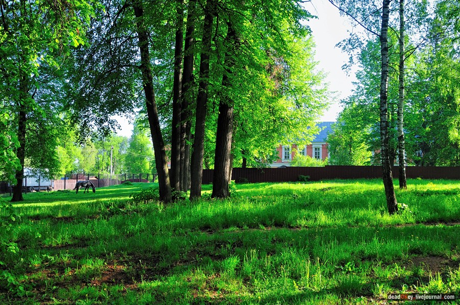 усадьба Мещерское