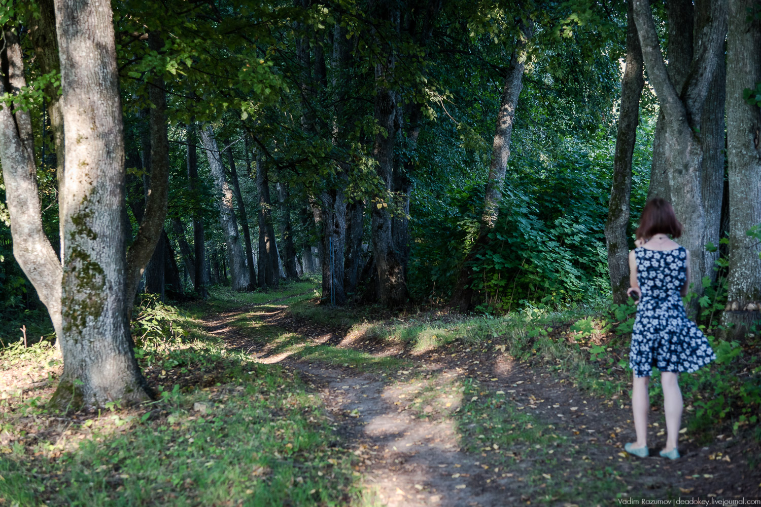 усадьба Никольское-Вяземское, Тульская область