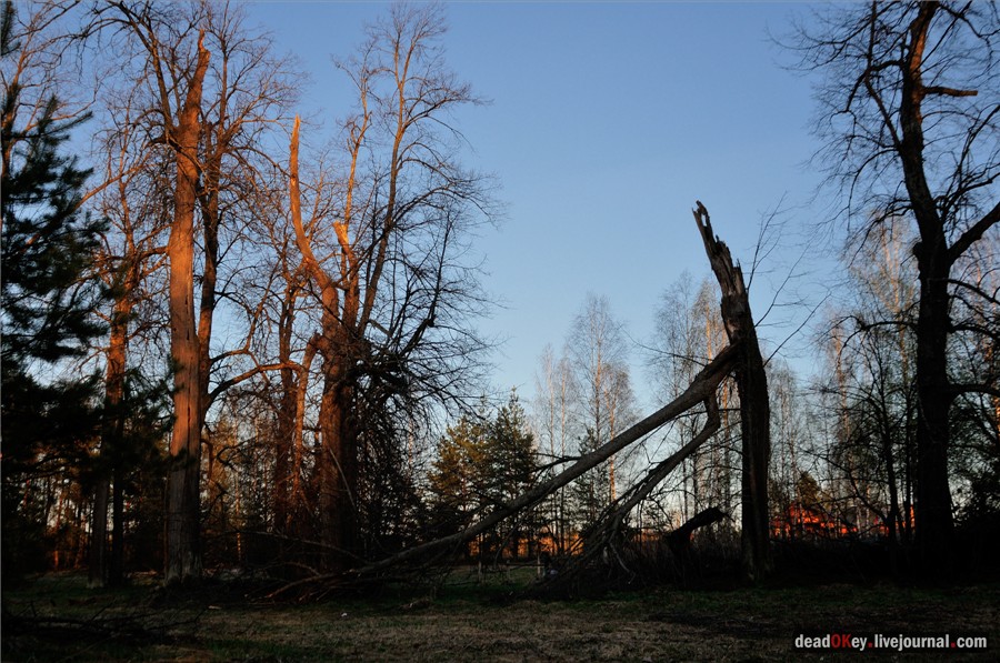 усадьба Смольнево