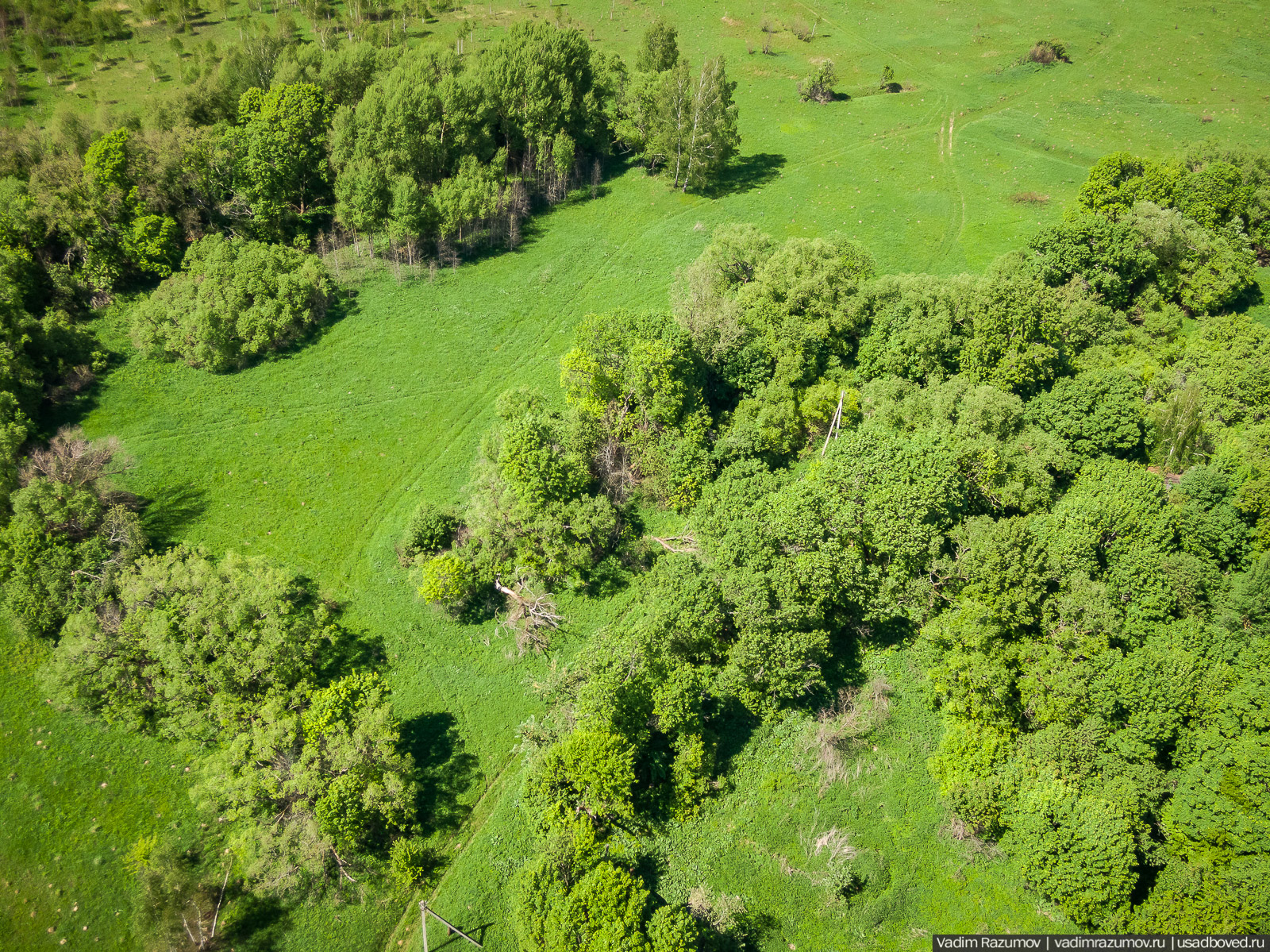 Старое Глазово, могила Василия Баженова, 2021 год