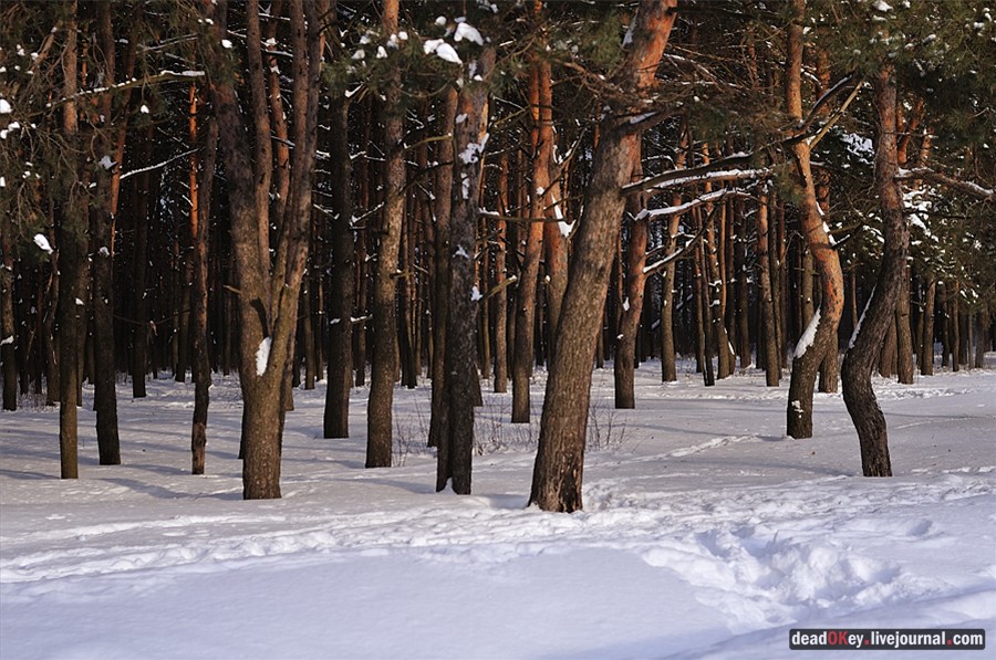 усадьба Белая Дача