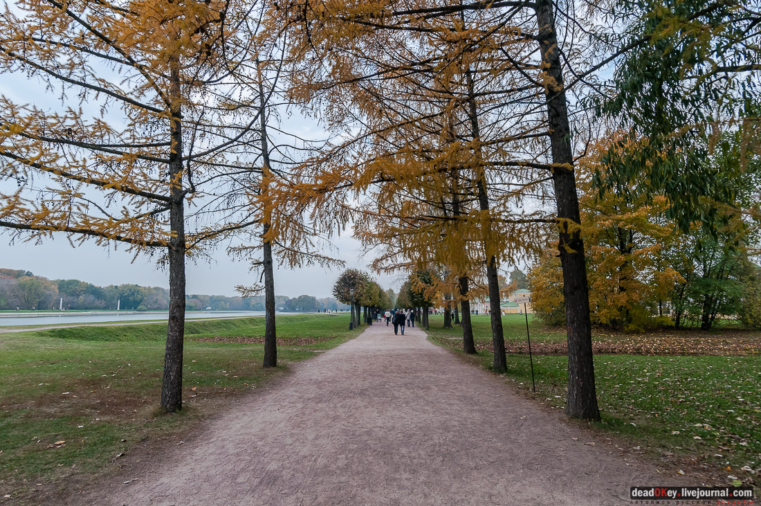 Усадьба Кусково