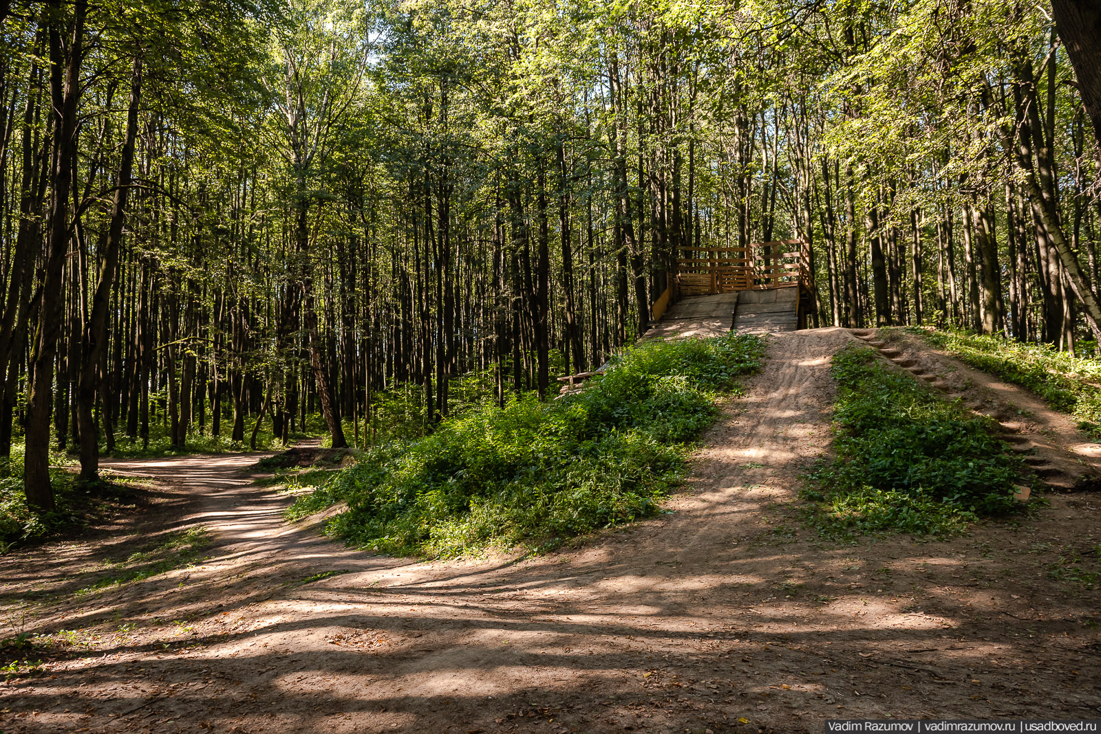 Усадьба Заболотье, парк, курганы, Долгопрудный, Москва