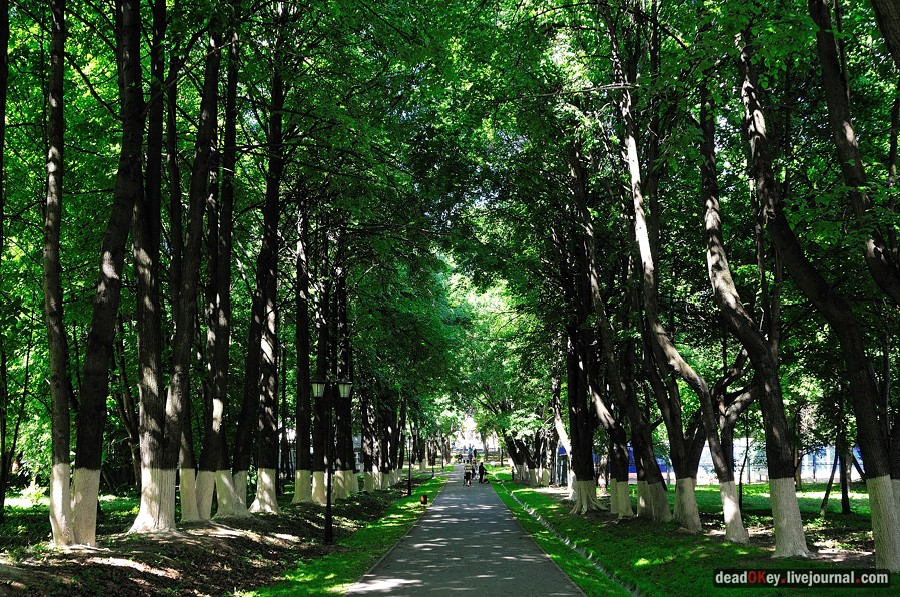 усадьба Братцево