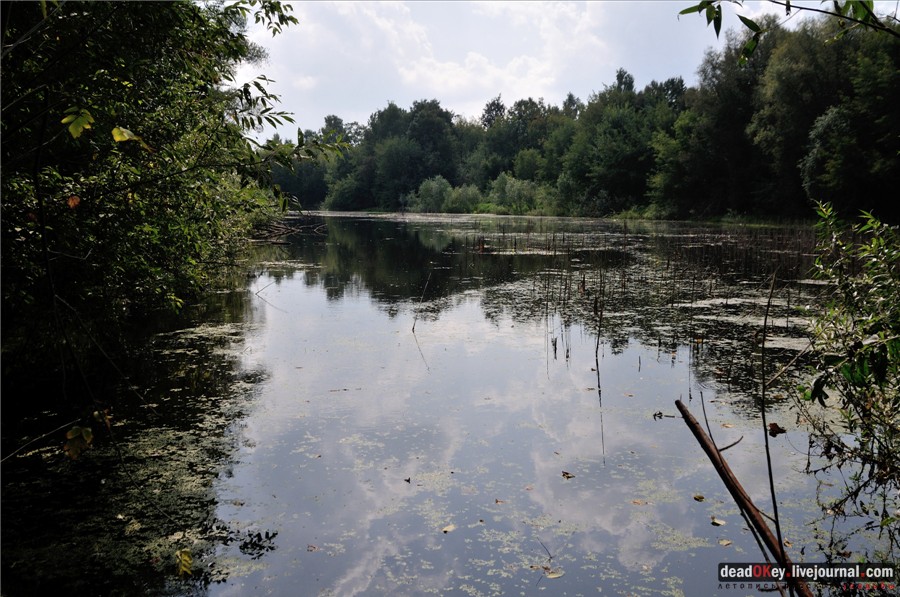 усадьба Глинки Якова Брюса (пансионат Монино)