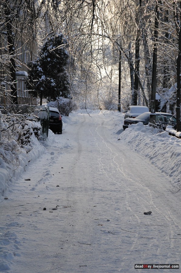 усадьба Красково