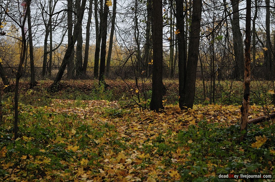 усадьба Жуково
