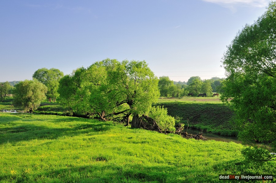 усадьба Прохорово