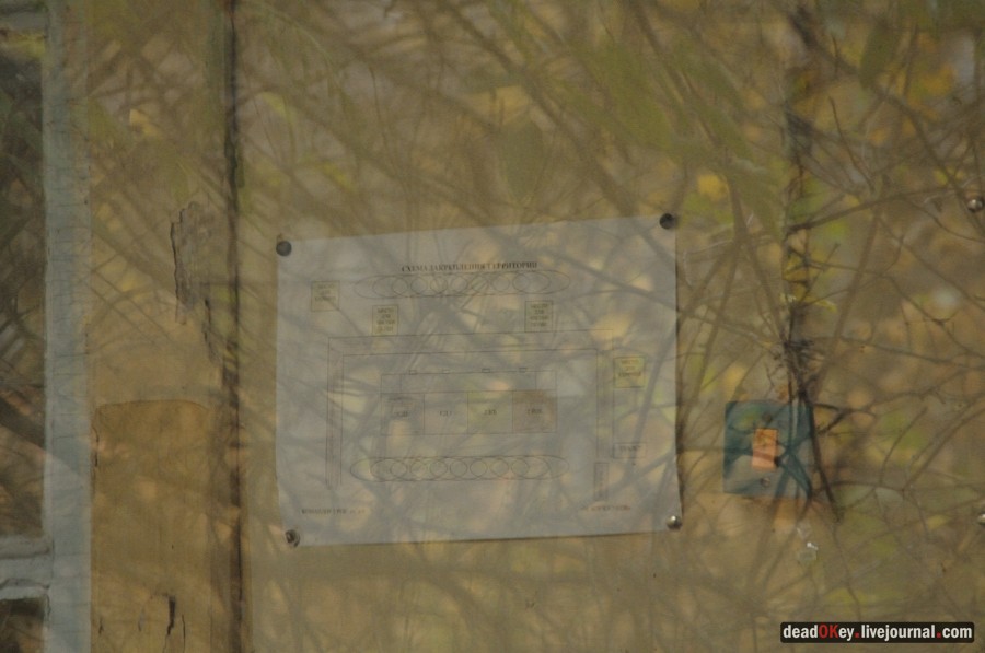 усадьба Жуково